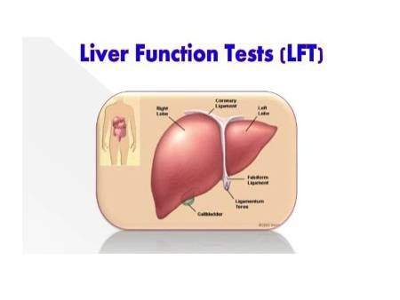 Liver Function