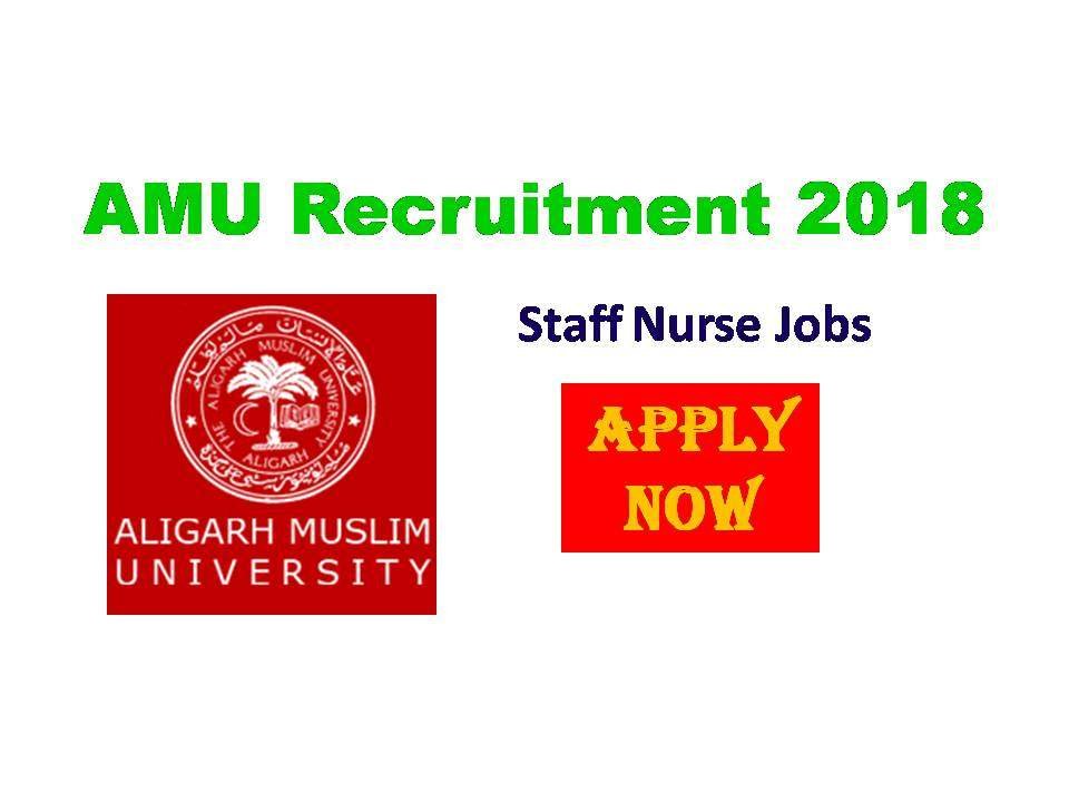 Aligarh Muslim University Nursing Recruitment