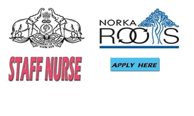 Norkaroots Recruitment 2020