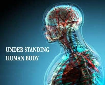 Watch Human Anatomy and Physiology Video Full Course