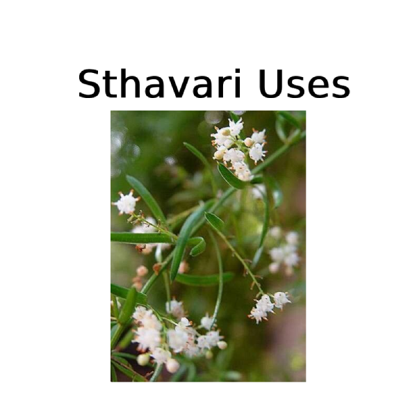 Shathavari benefits,Asparagus racemosusShathavari vs Glutathione: A Comprehensive Comparison