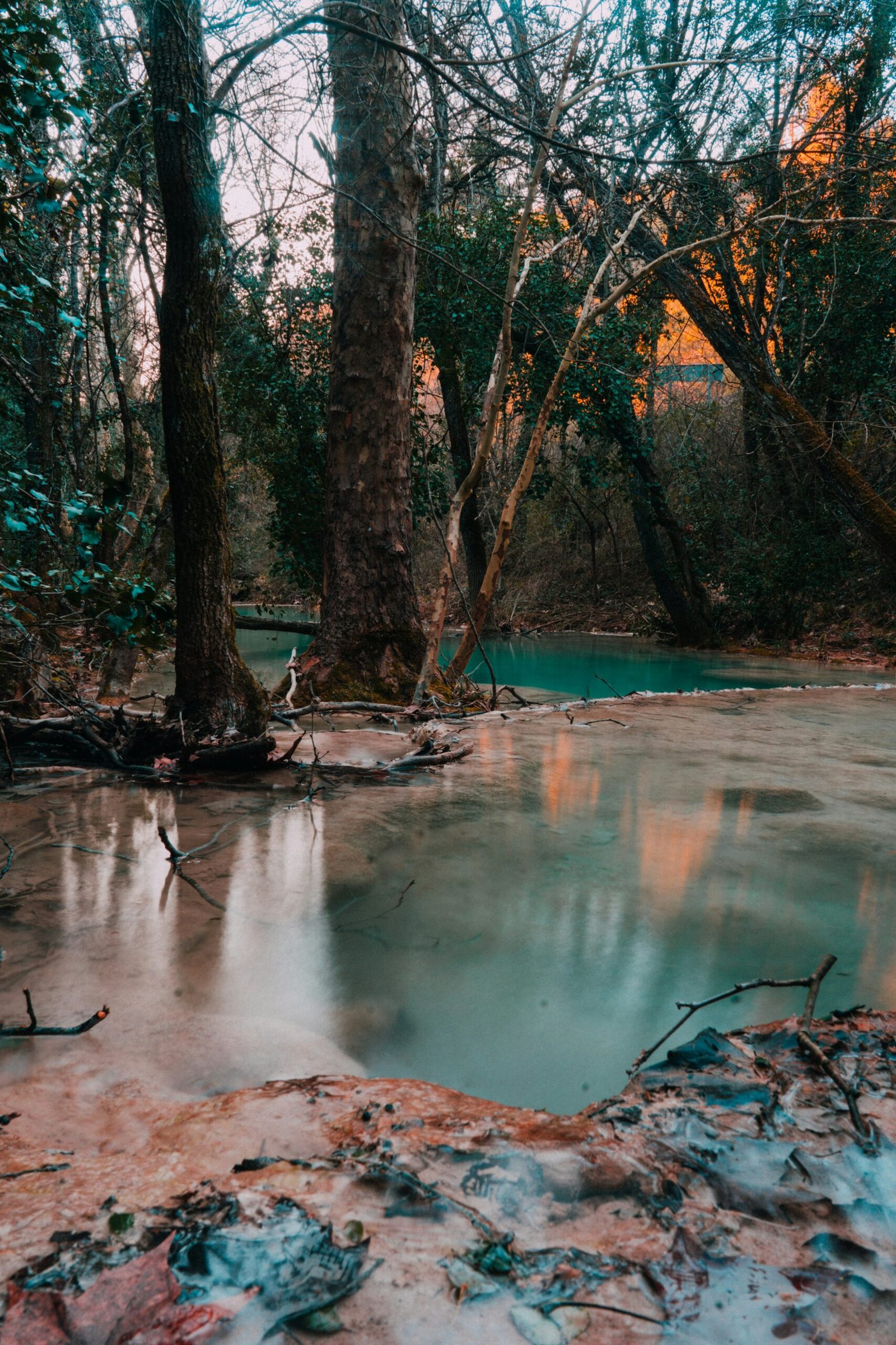 body of water under trees glutathione benefits